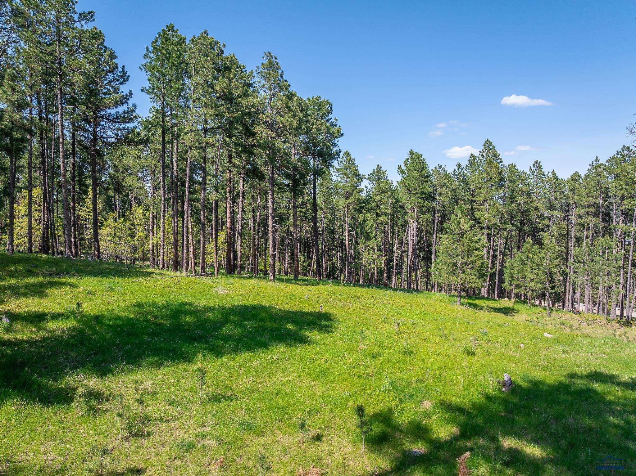 Sturgis, South Dakota 57785, United States, ,Land,Active,103810