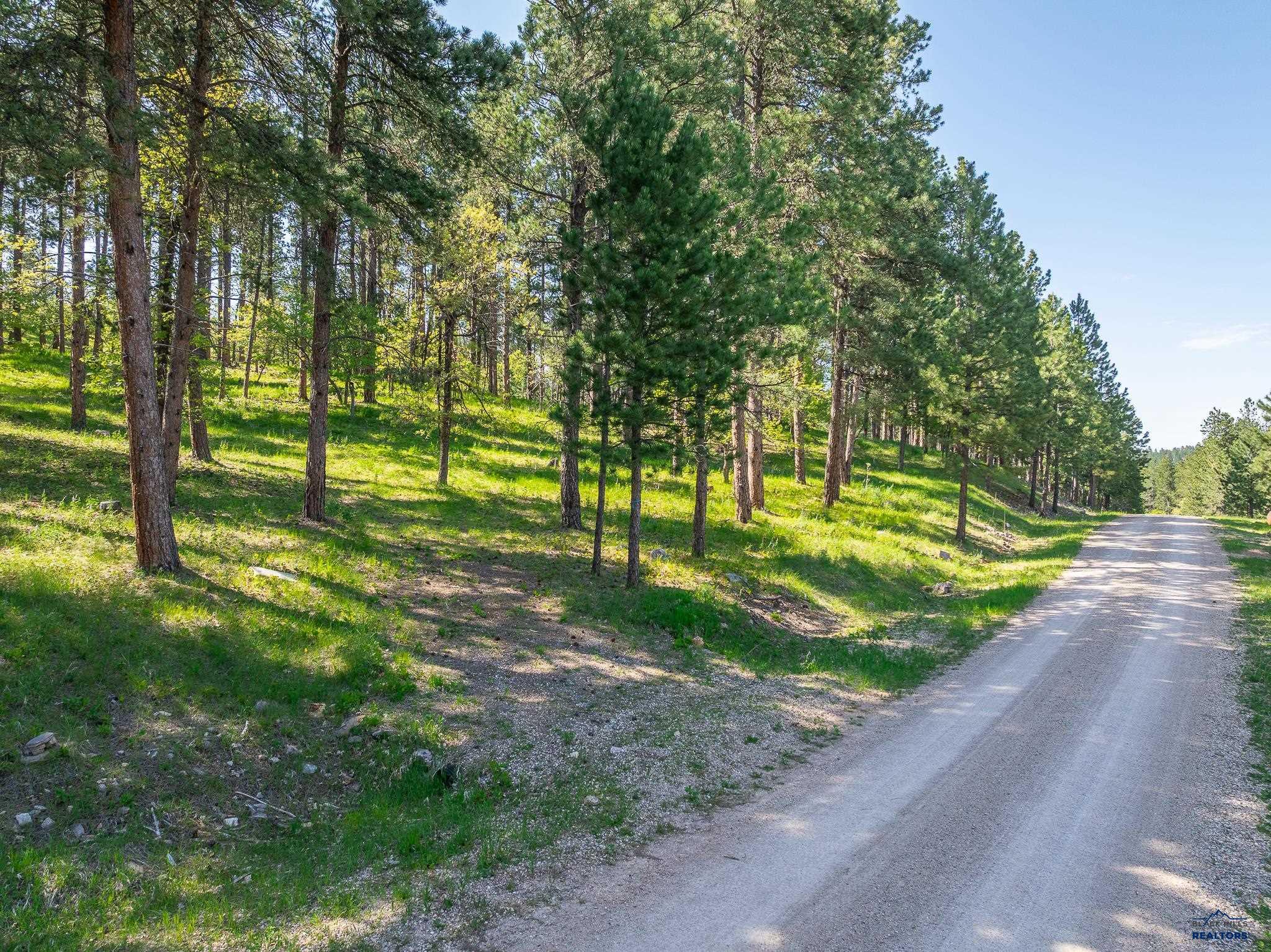 Sturgis, South Dakota 57785, United States, ,Land,Active,103810