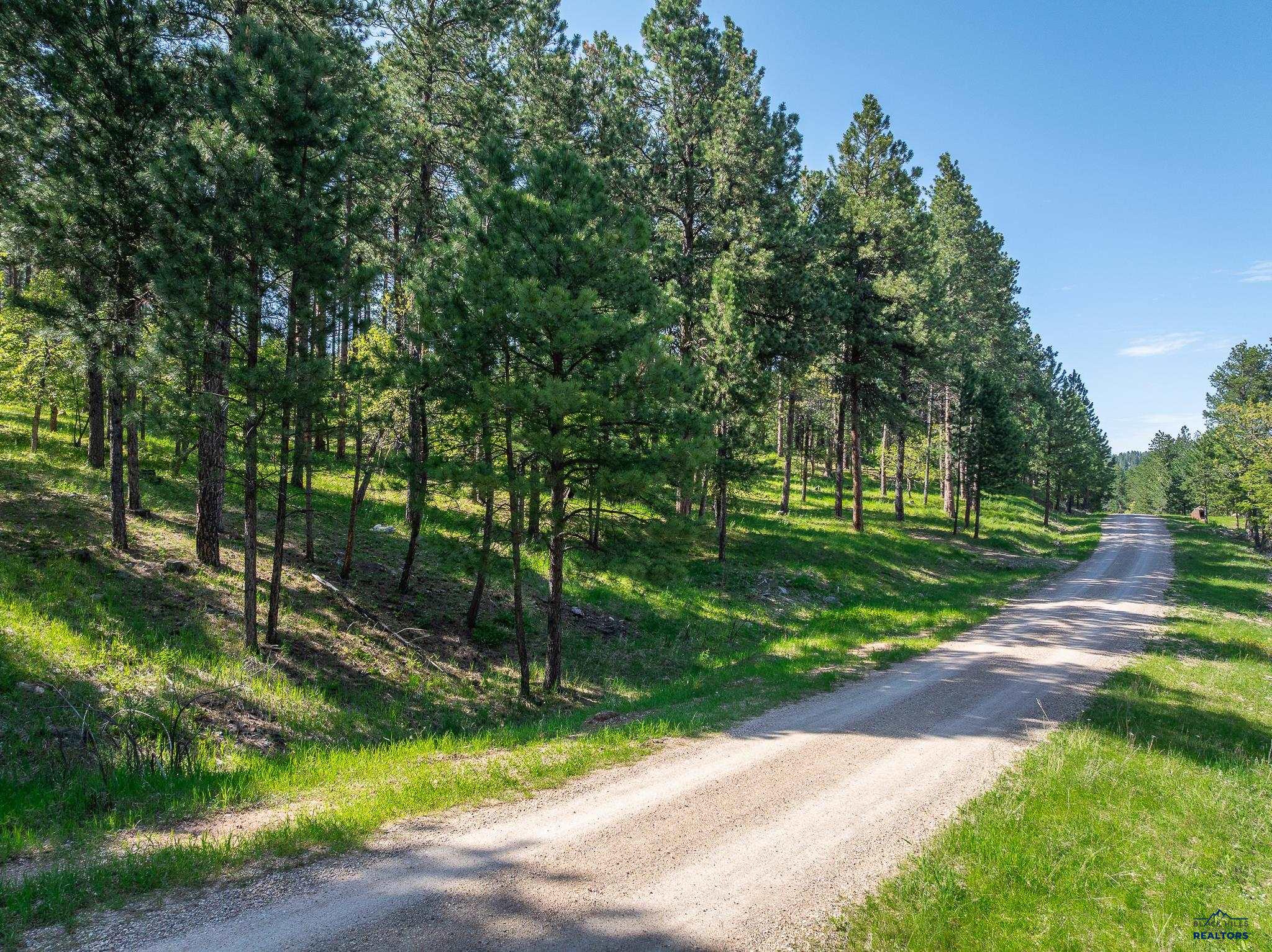 Sturgis, South Dakota 57785, United States, ,Land,Active,103810
