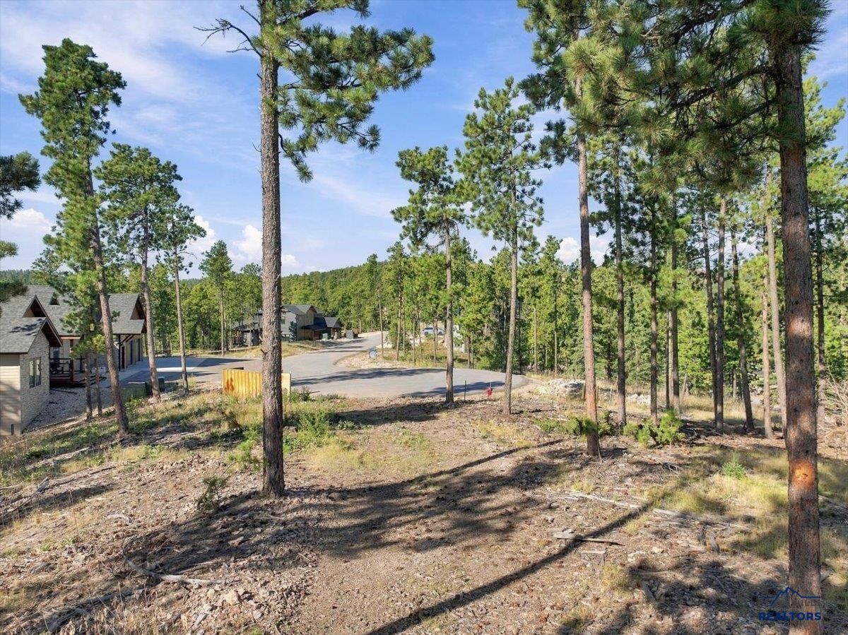 11315 OVERLOOK CT