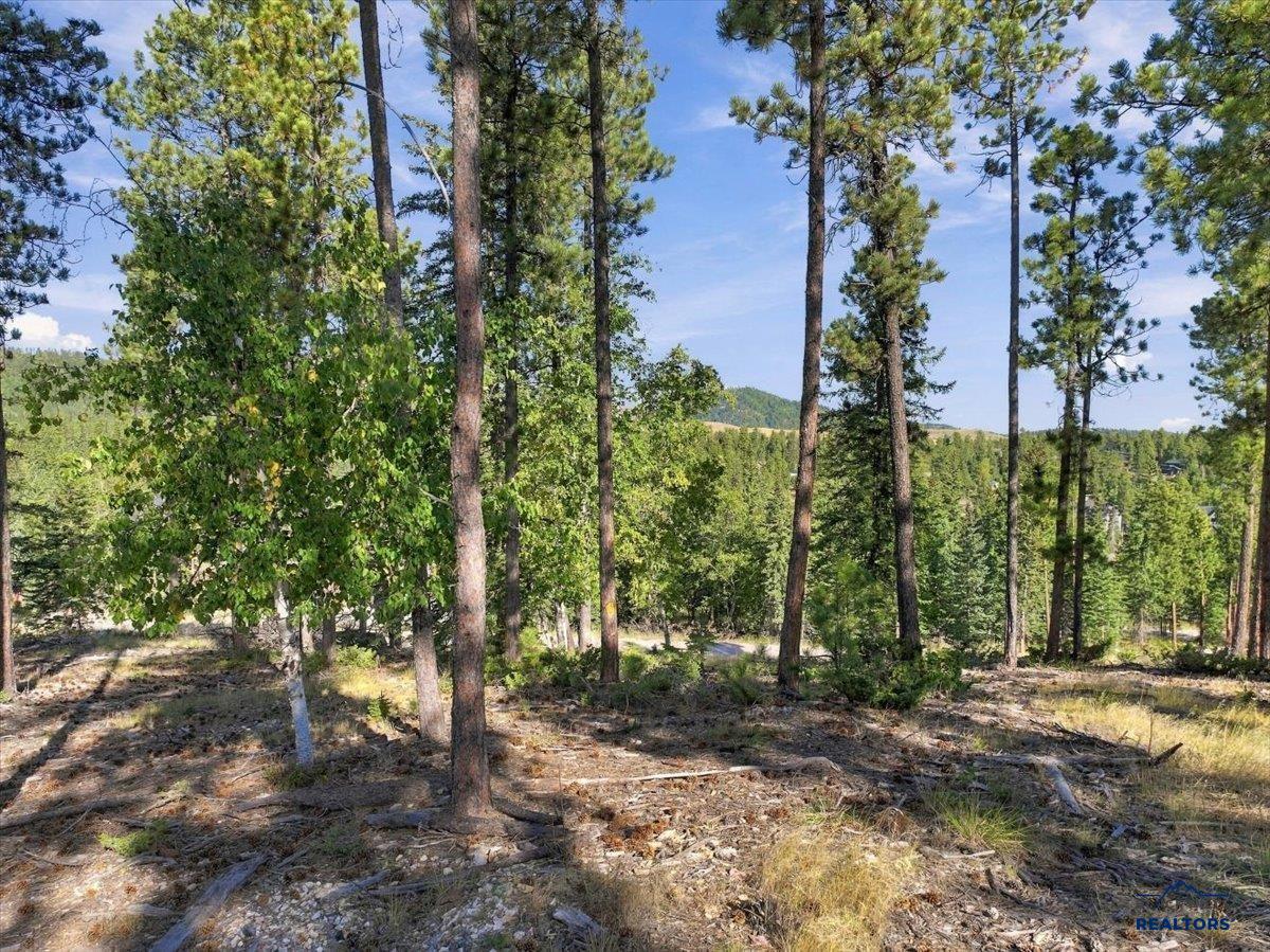 11315 OVERLOOK CT