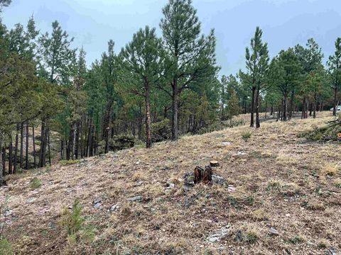 11562 RED CANYON RD Custer SD 57730