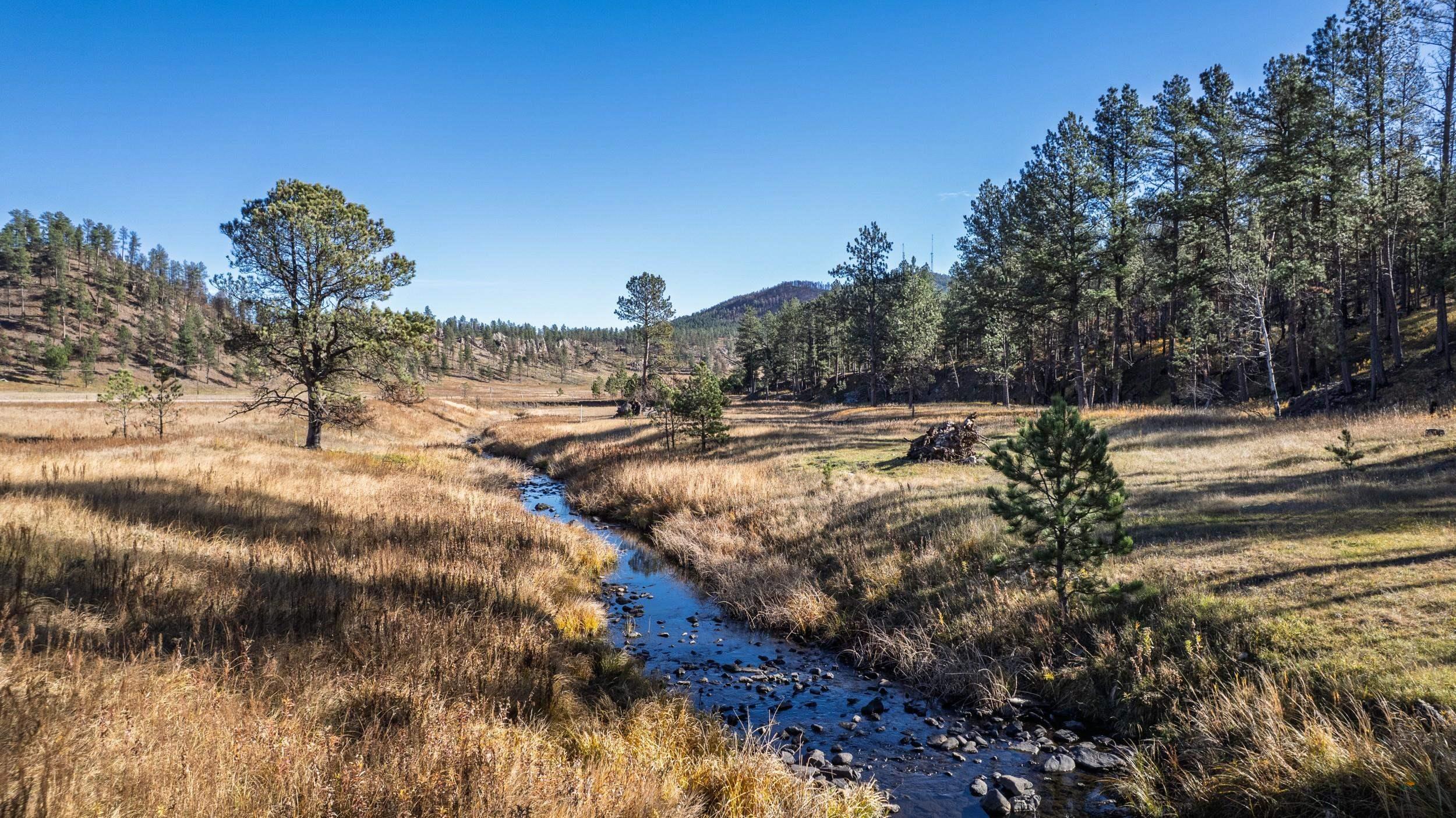 25287 LOWER FRENCH CREEK RD