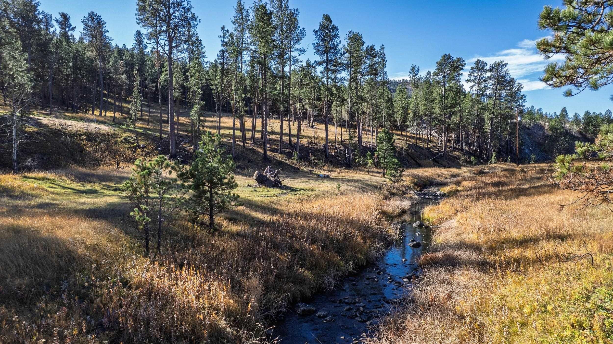 25287 LOWER FRENCH CREEK RD
