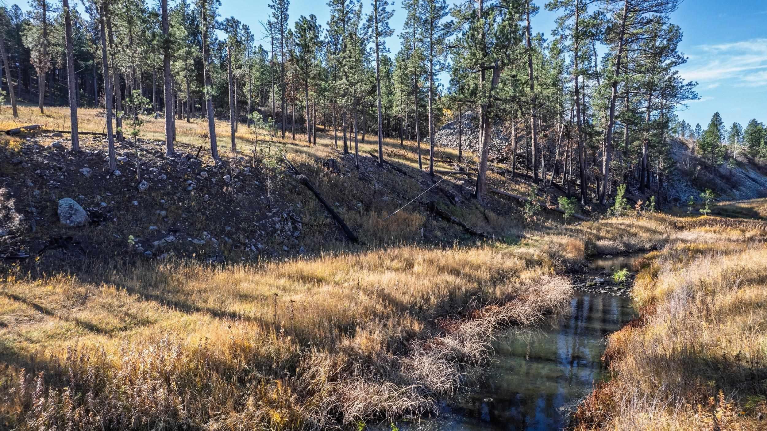 25287 LOWER FRENCH CREEK RD