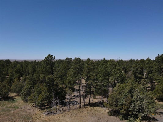 PINE AVE, UPTON, WY 82730 - Image dba2a2bc1cef060f10437b20162b5468/3132829725