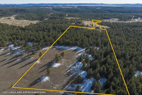 TBD SOUTH PARK DR Custer SD 57730