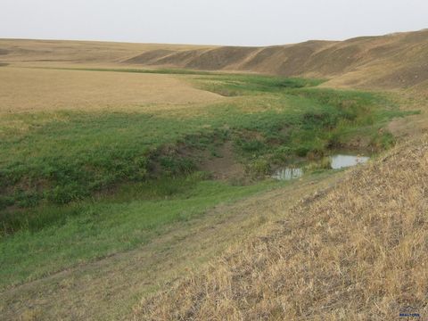 17763 TWILIGHT RD Newell SD 57760