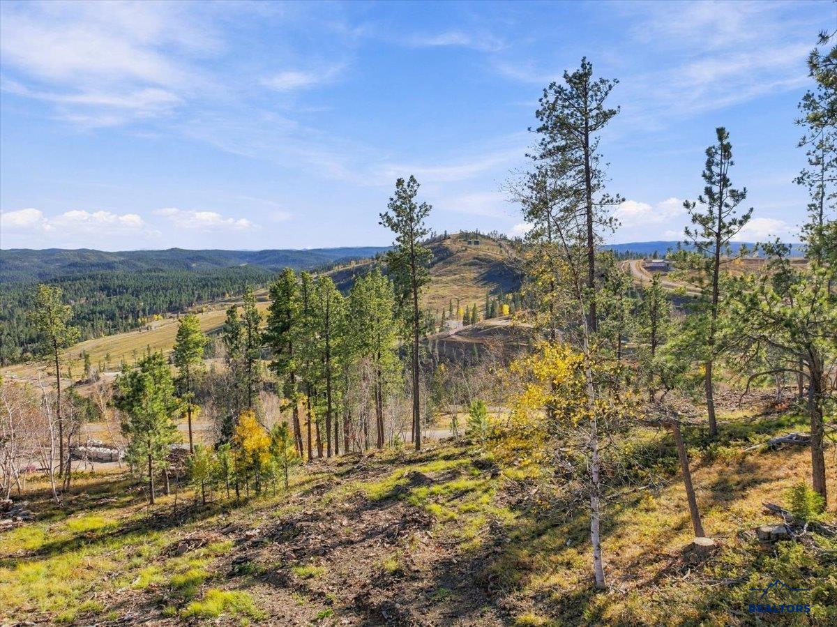 Lot 228 DEER MOUNTAIN