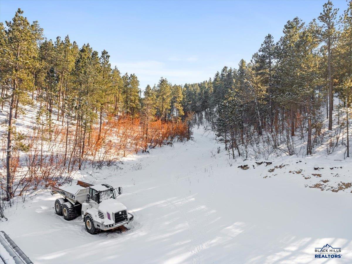 39.7 +/- Acres CROOK MOUNTAIN RD