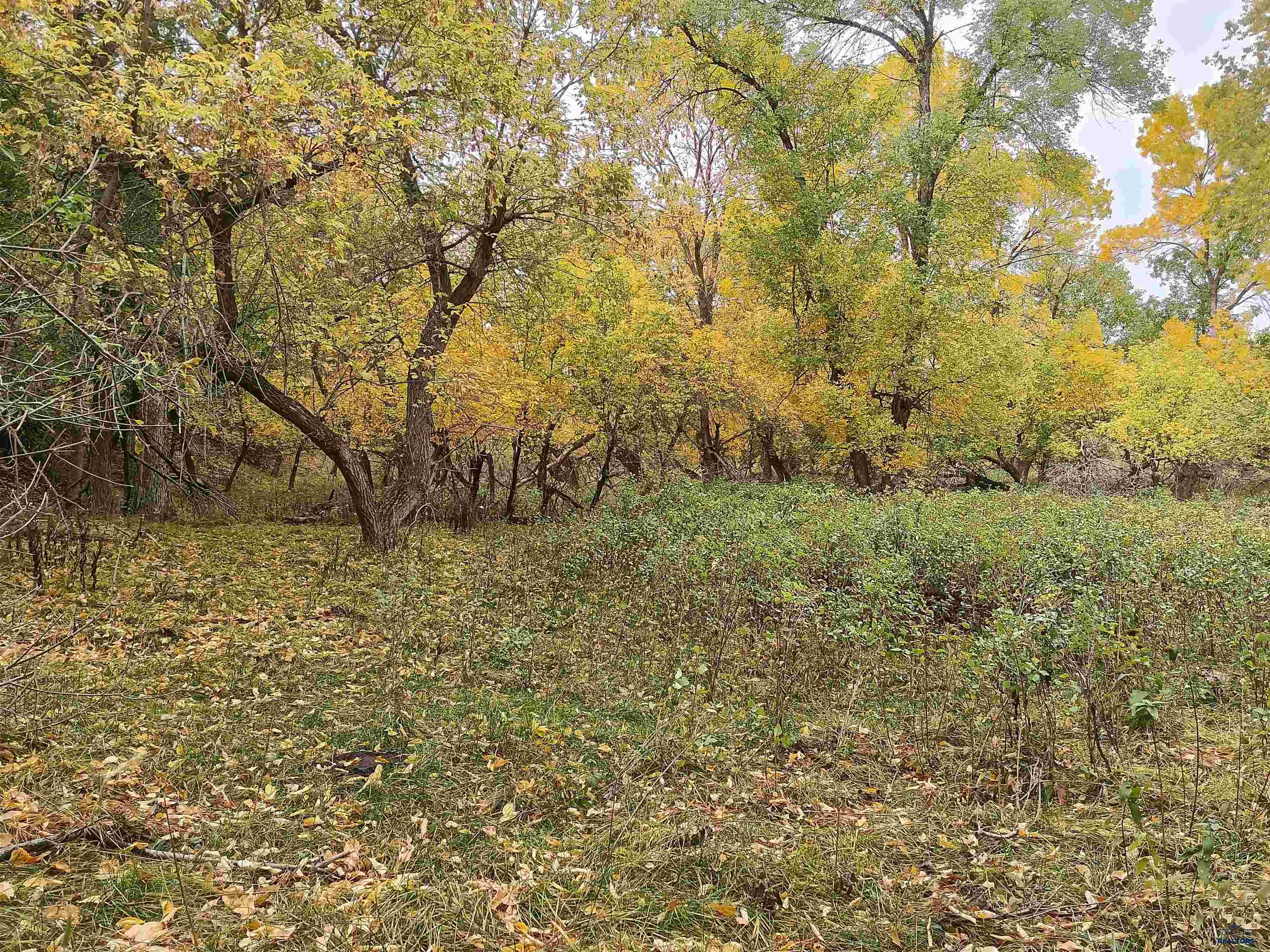 20099 BIA RD 4 OTHER