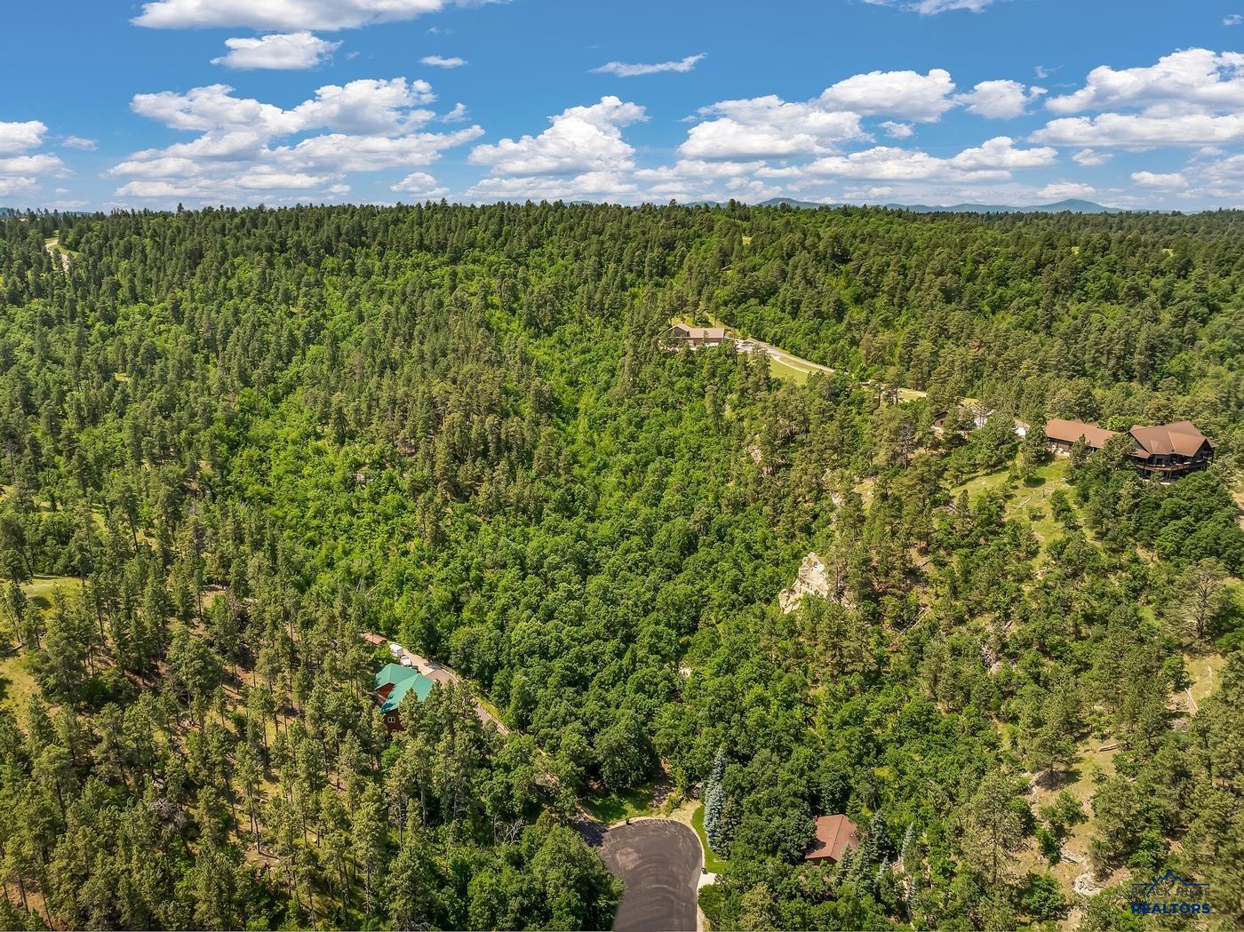 Lot 1 Block 2 ASPEN WAY