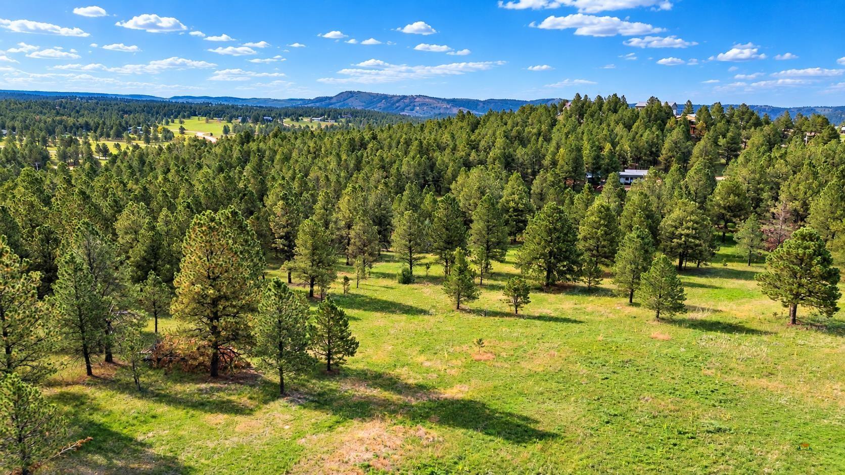 TBD TIMBER RIDGE RD