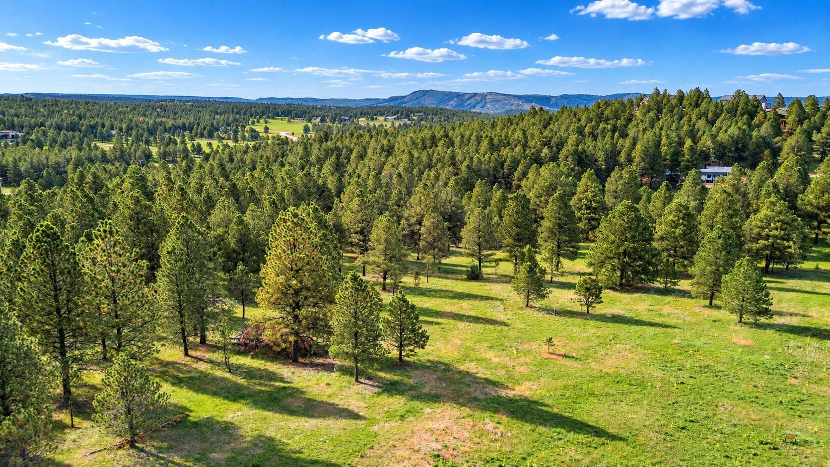 TBD TIMBER RIDGE RD