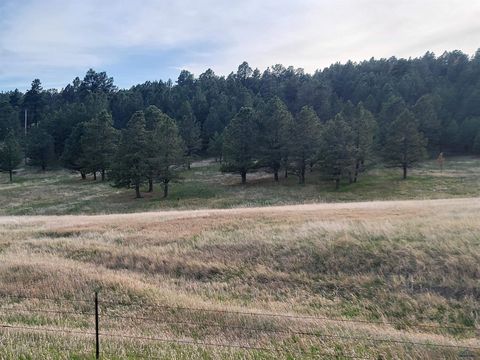 TBD LH ROAD Fairburn SD 57738