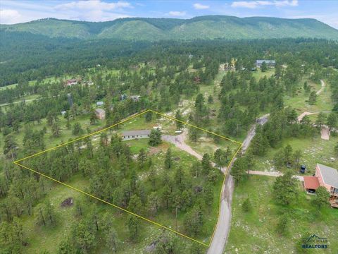 11285 BLUE RIDGE RD Piedmont SD 57769