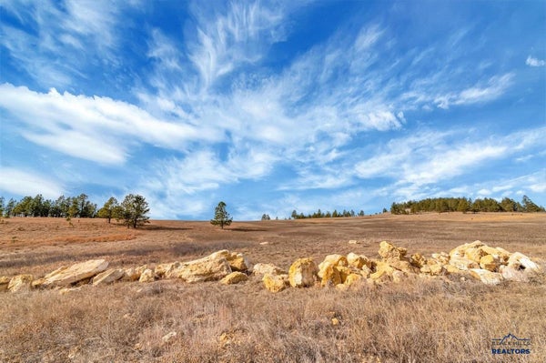 DAVIS DR, CUSTER, SD 57730 - Image ede730287c5196e7d311a7bb5b222784/3483416227