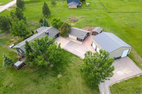 9204 S HIGH MEADOWS DR Black Hawk SD 57718