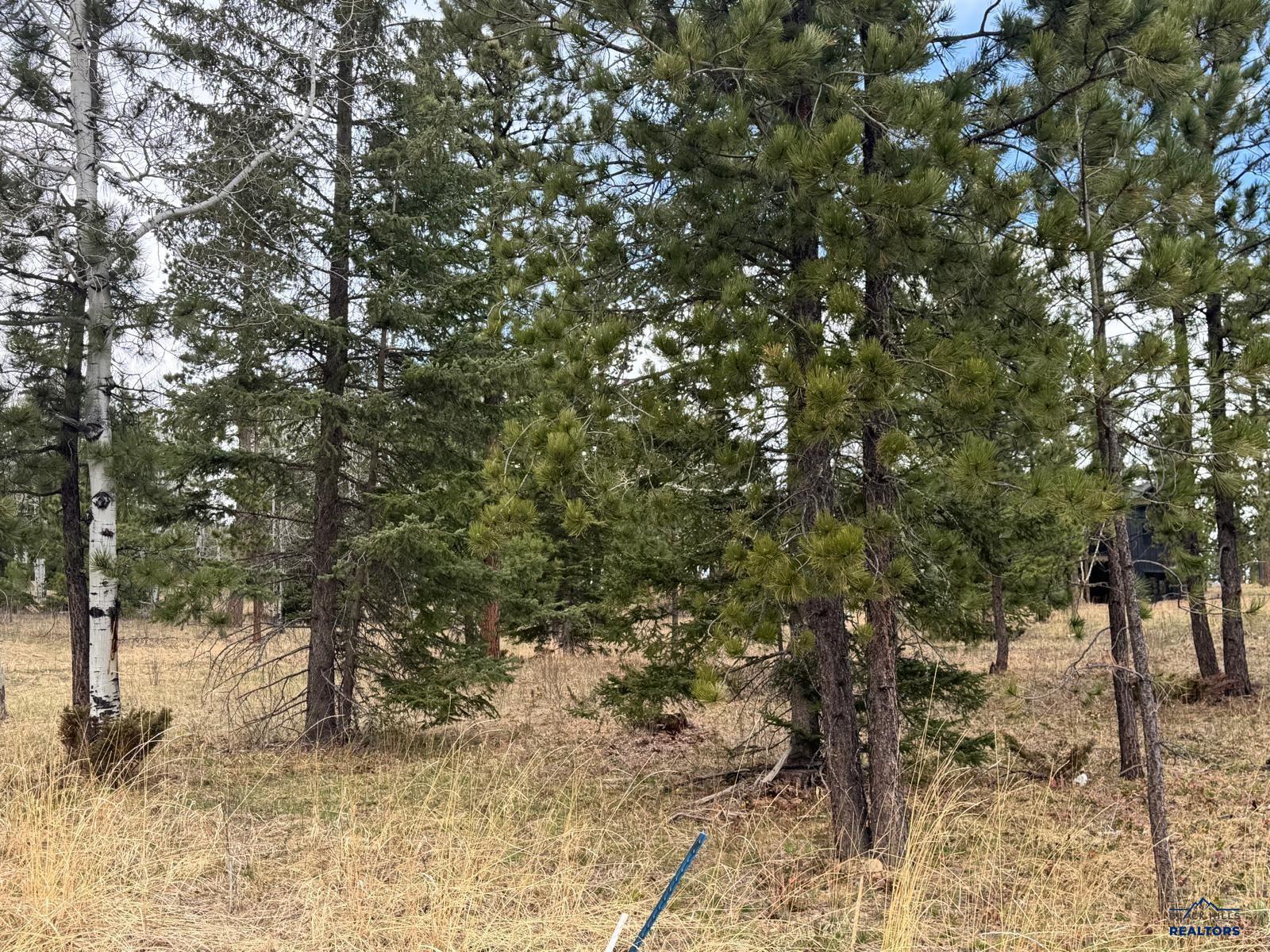 Lot 6 Blk 4 TRAILSIDE ADD