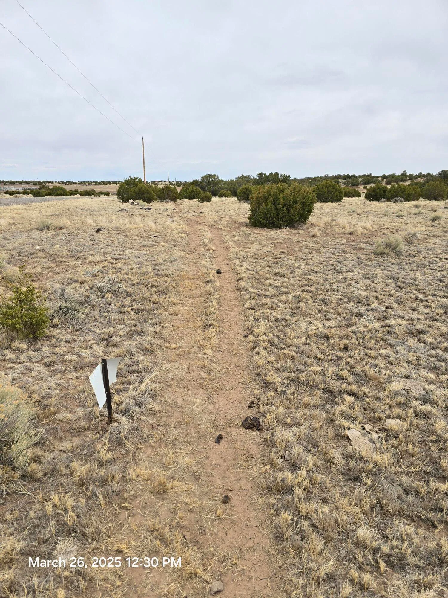 Concho, Arizona 85924, United States, ,Land,Active,104402