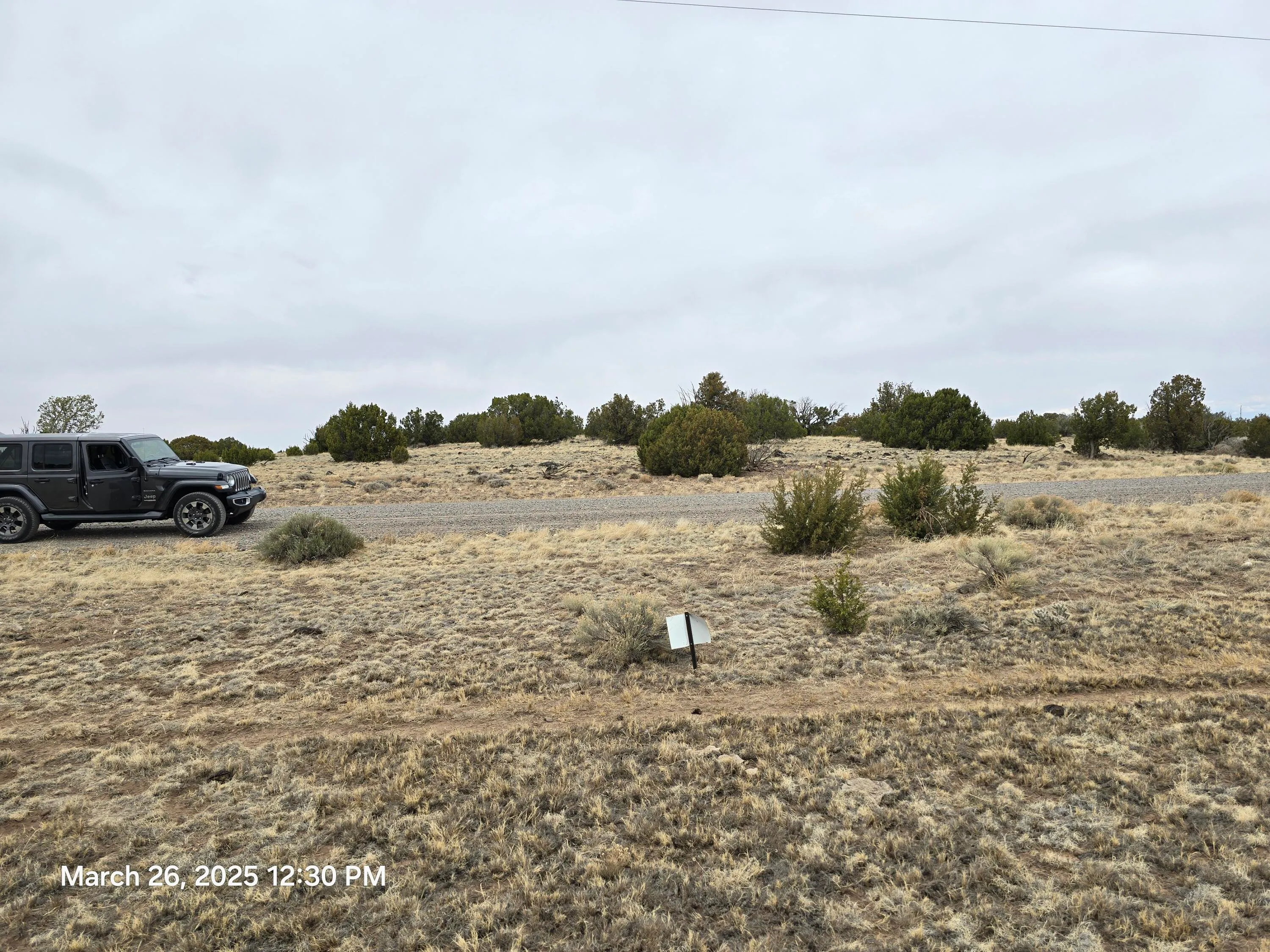 Concho, Arizona 85924, United States, ,Land,Active,104402