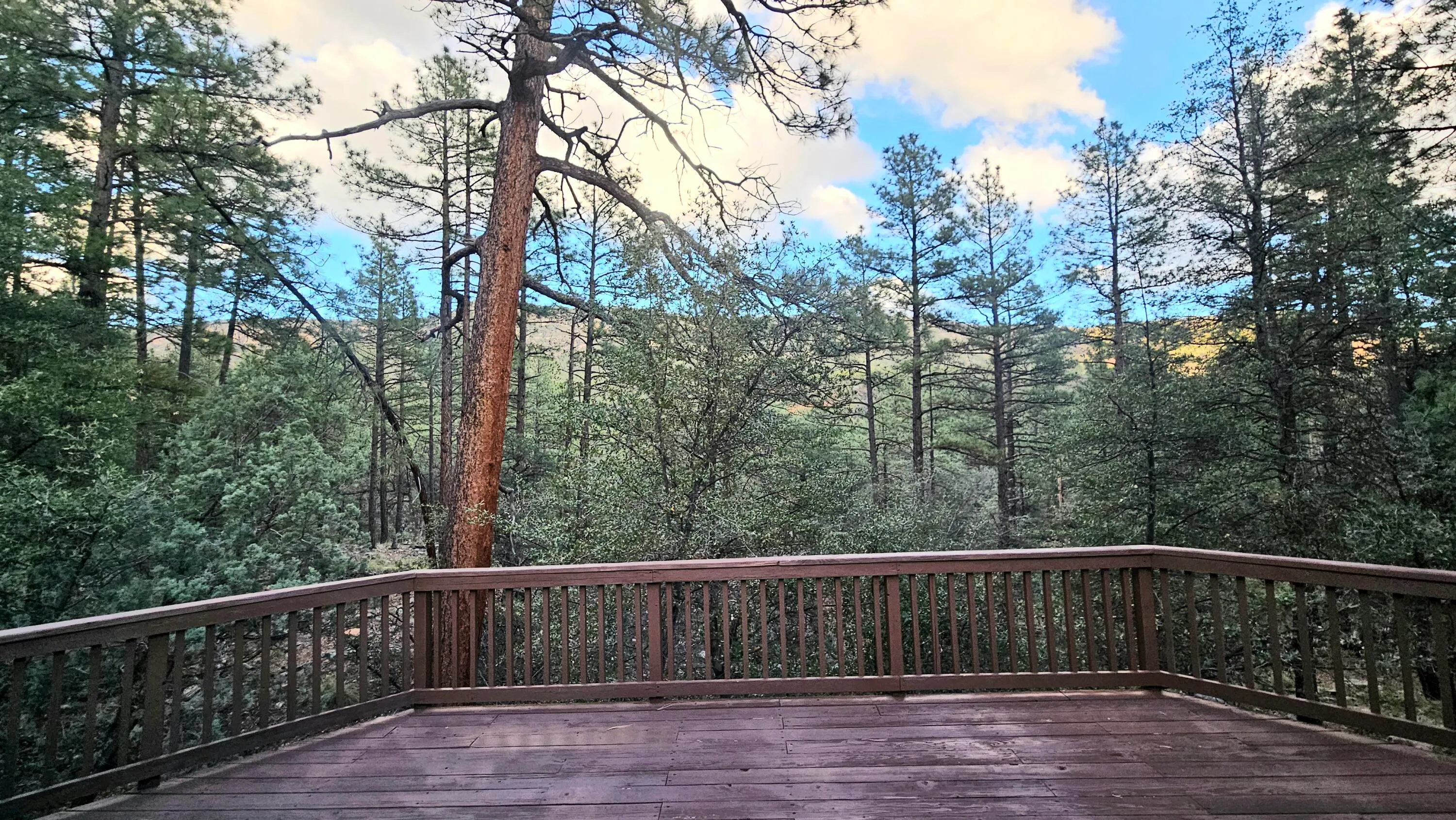 Pine, Arizona 85544, United States, 4 Bedrooms Bedrooms, ,2 BathroomsBathrooms,Residential,Active,226302