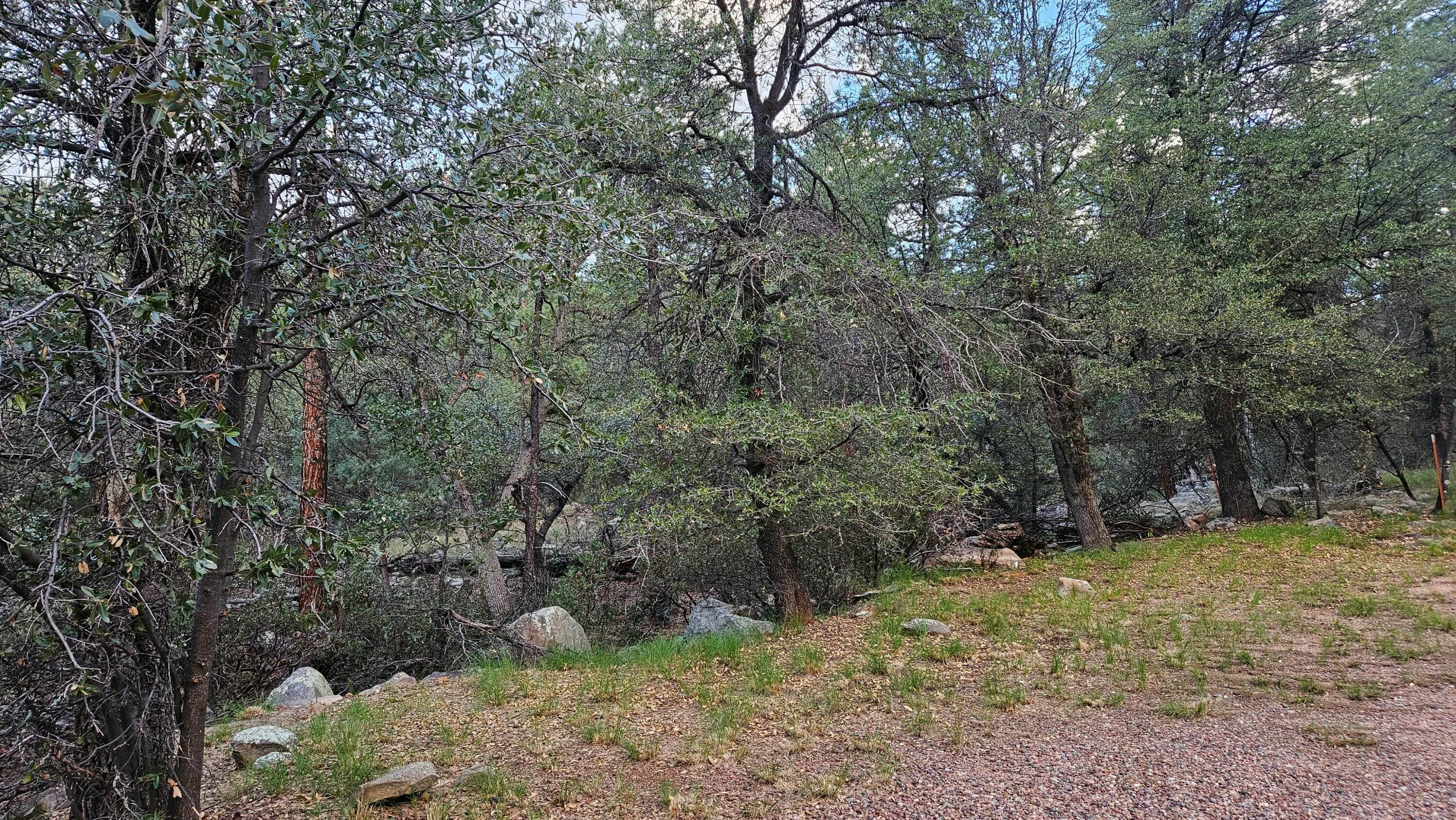 Pine, Arizona 85544, United States, 4 Bedrooms Bedrooms, ,2 BathroomsBathrooms,Residential,Active,226302