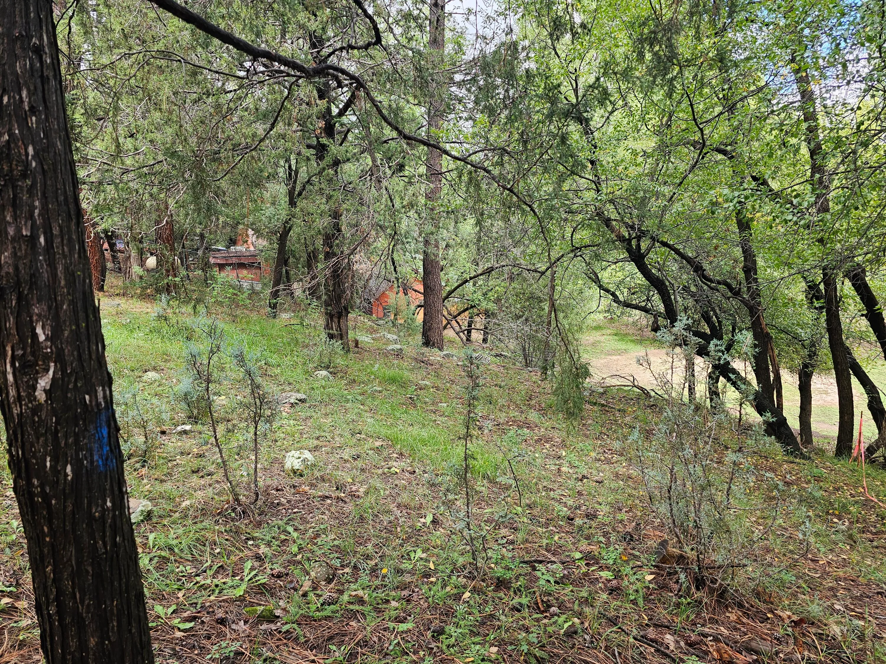 Payson, Arizona 85541, United States, ,Land,Active,227644