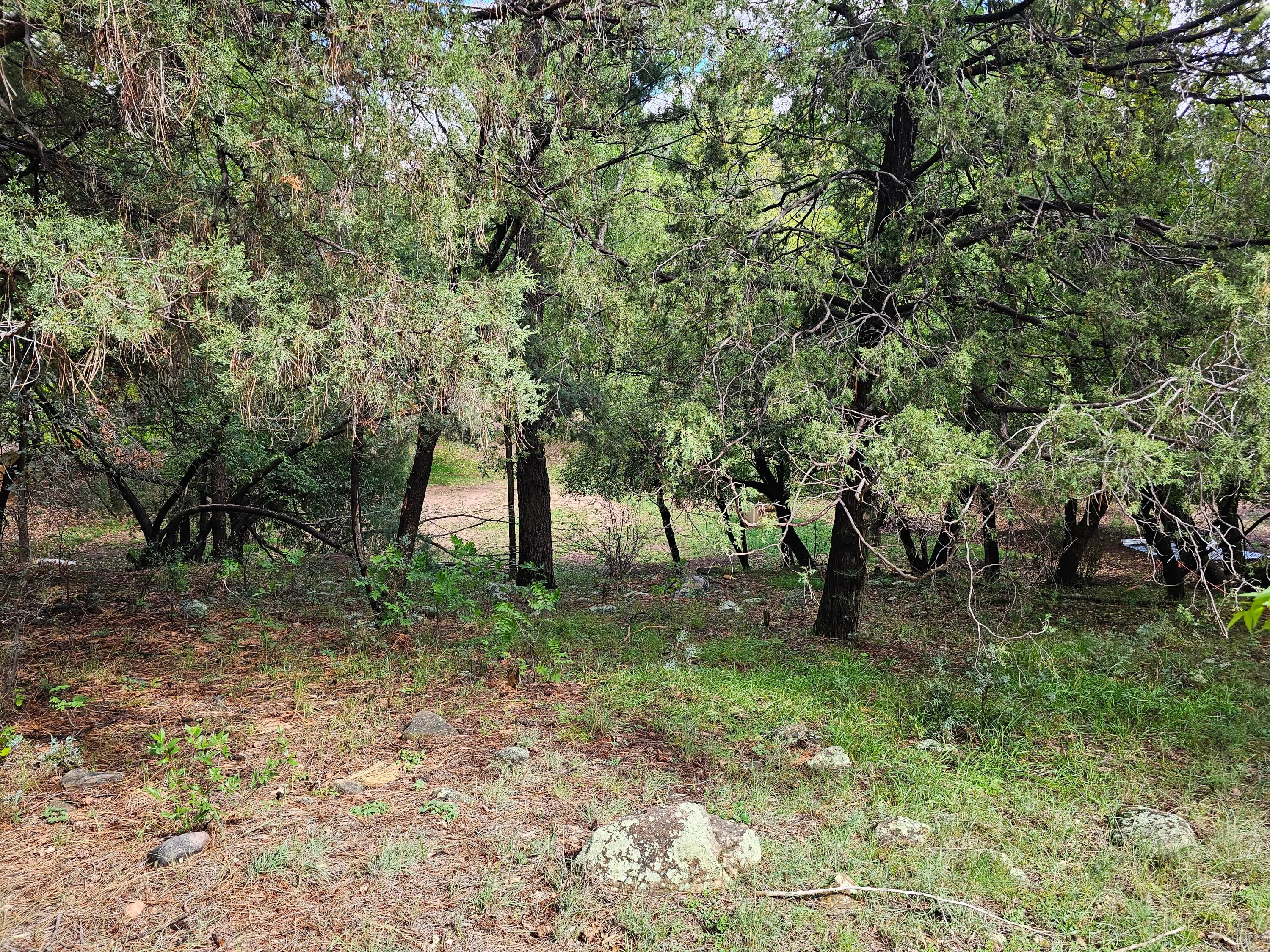 Payson, Arizona 85541, United States, ,Land,Active,227644