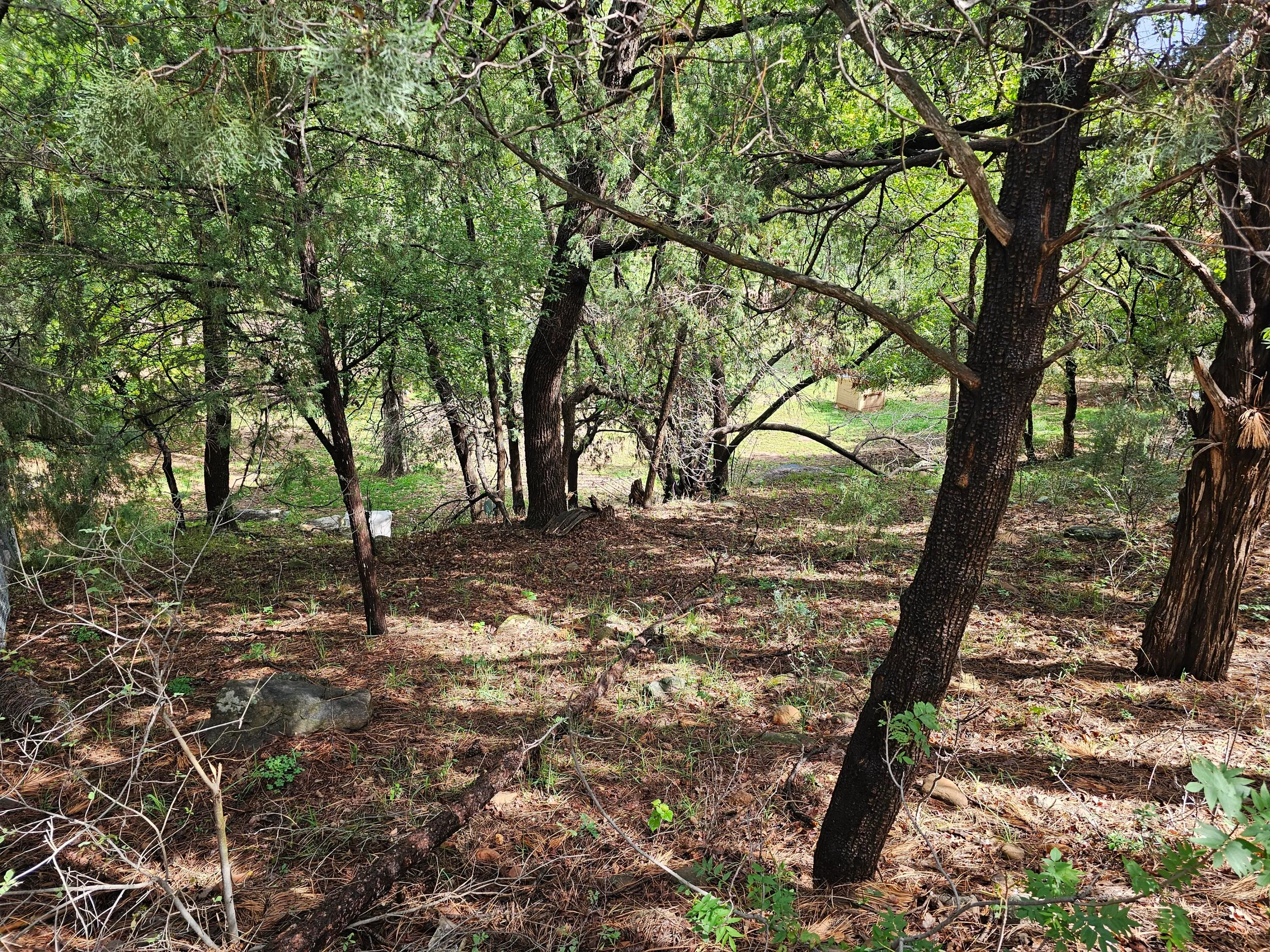 Payson, Arizona 85541, United States, ,Land,Active,227644