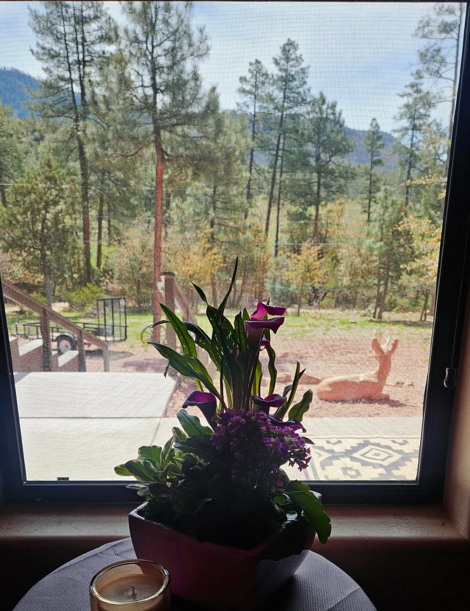 Pine, Arizona 85544, United States, 4 Bedrooms Bedrooms, ,2 BathroomsBathrooms,Residential,Active,131721