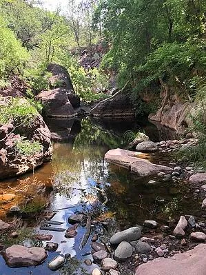 Pine, Arizona 85544, United States, 4 Bedrooms Bedrooms, ,2 BathroomsBathrooms,Residential,Active,131721