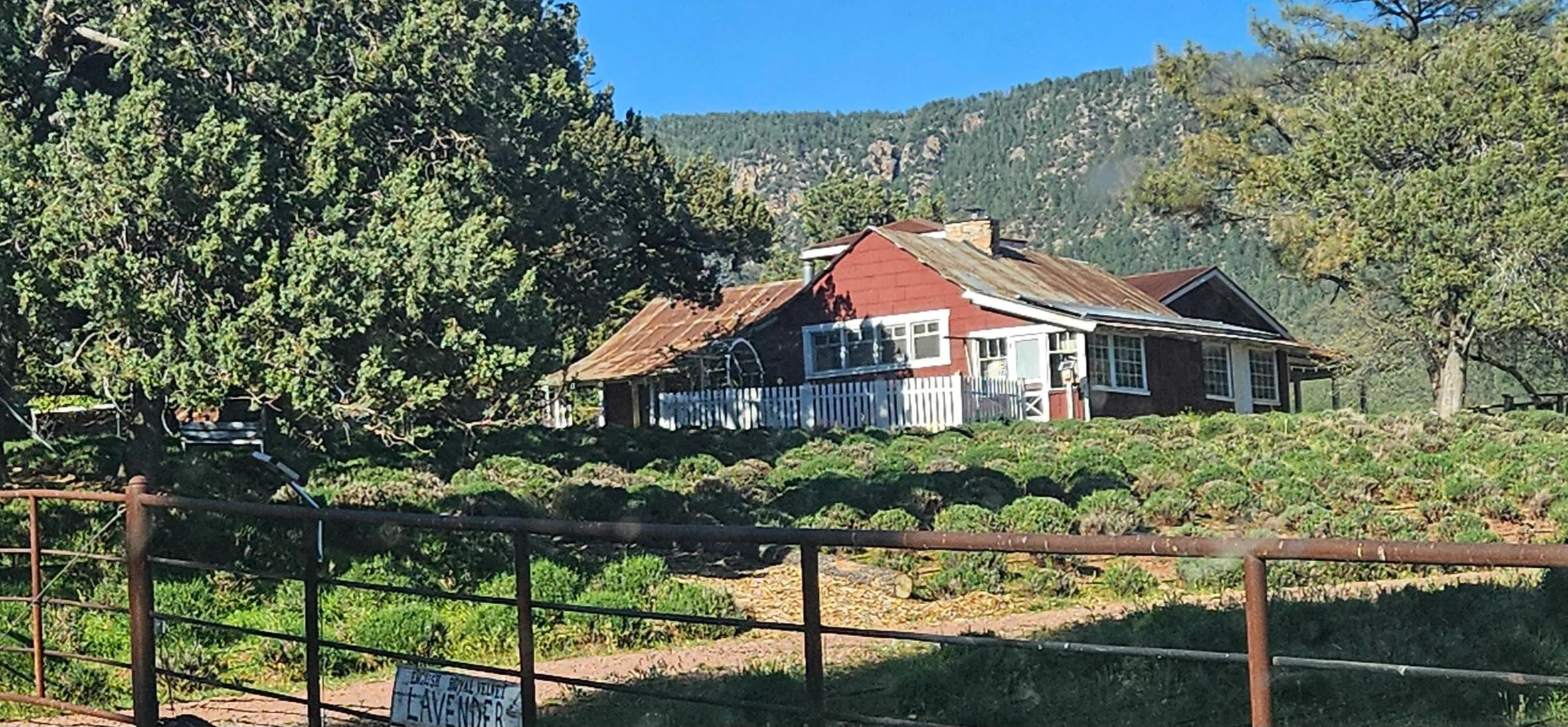 Pine, Arizona 85544, United States, 4 Bedrooms Bedrooms, ,2 BathroomsBathrooms,Residential,Active,131721