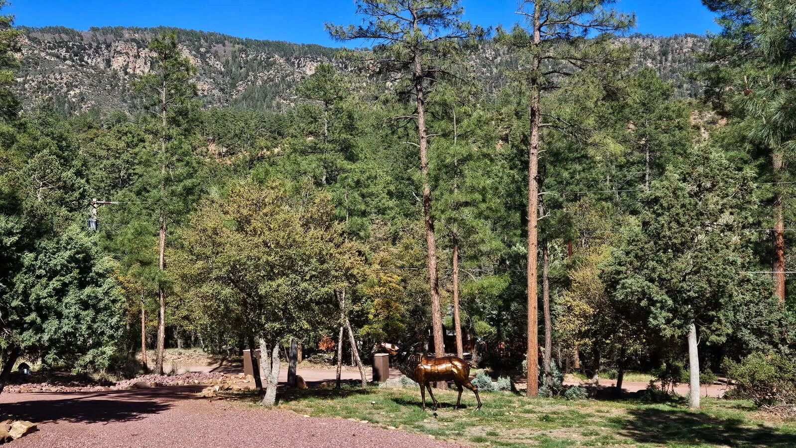 Pine, Arizona 85544, United States, 4 Bedrooms Bedrooms, ,2 BathroomsBathrooms,Residential,Active,131721