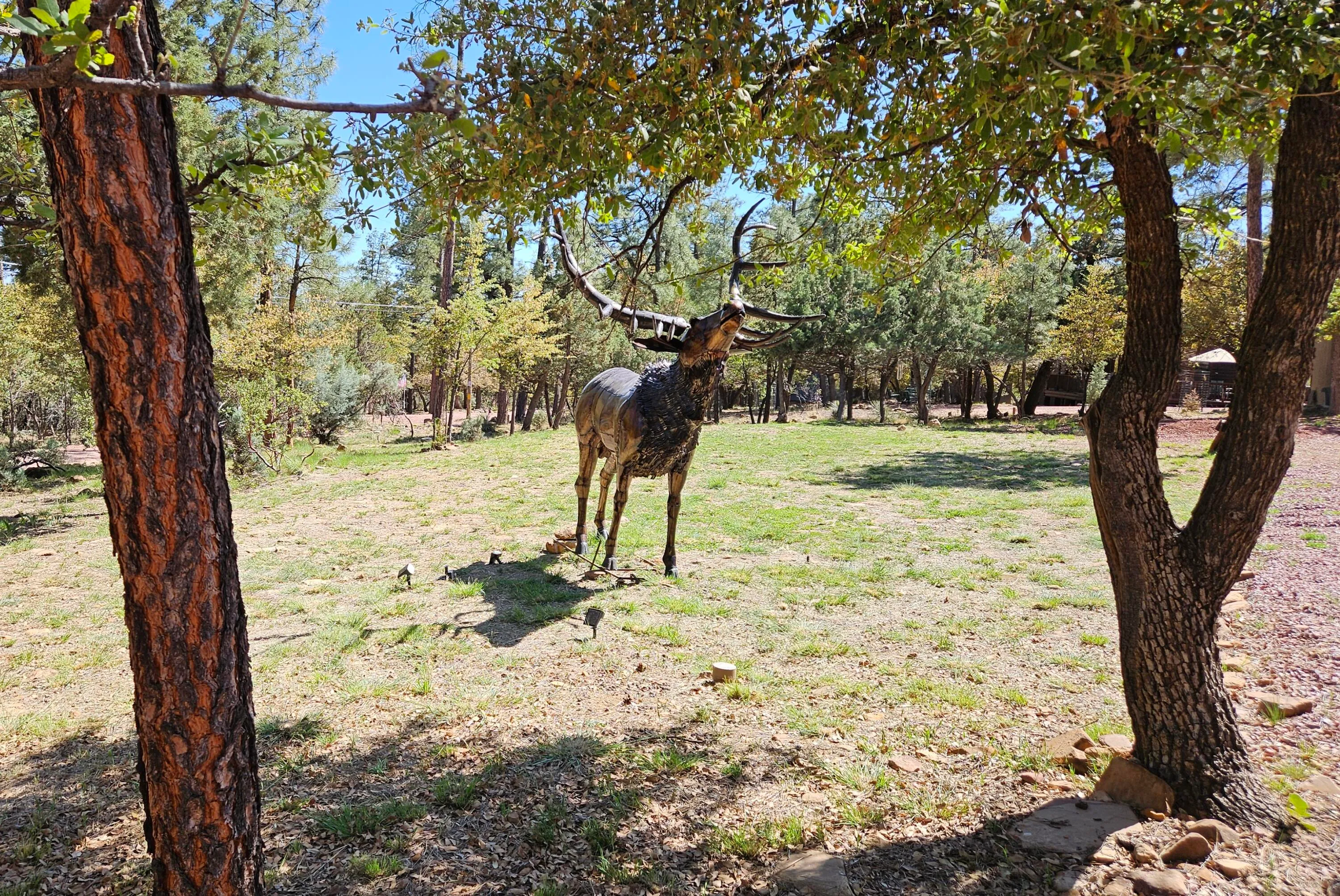 Pine, Arizona 85544, United States, 4 Bedrooms Bedrooms, ,2 BathroomsBathrooms,Residential,Active,131721