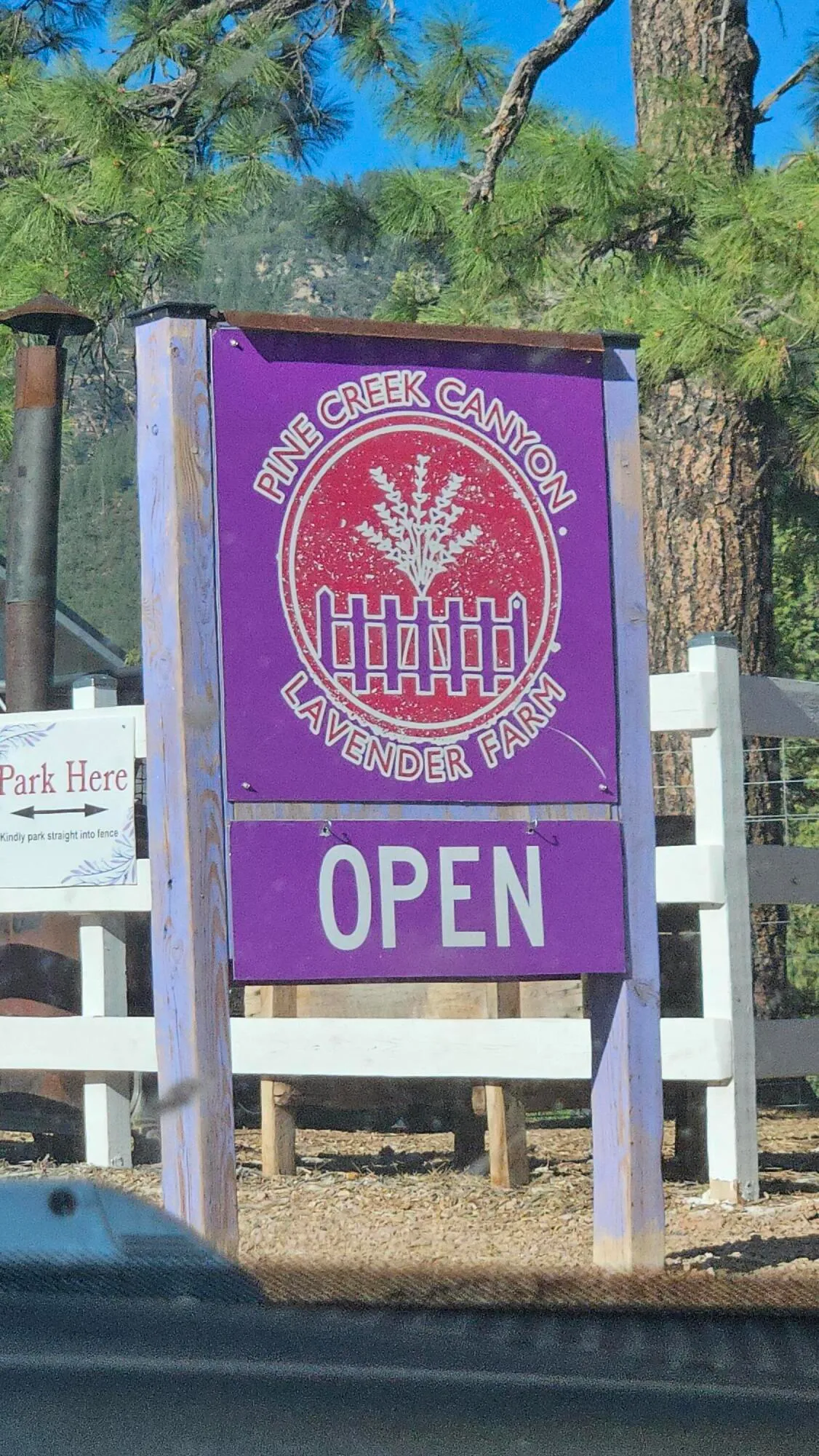 Pine, Arizona 85544, United States, 4 Bedrooms Bedrooms, ,2 BathroomsBathrooms,Residential,Active,131721