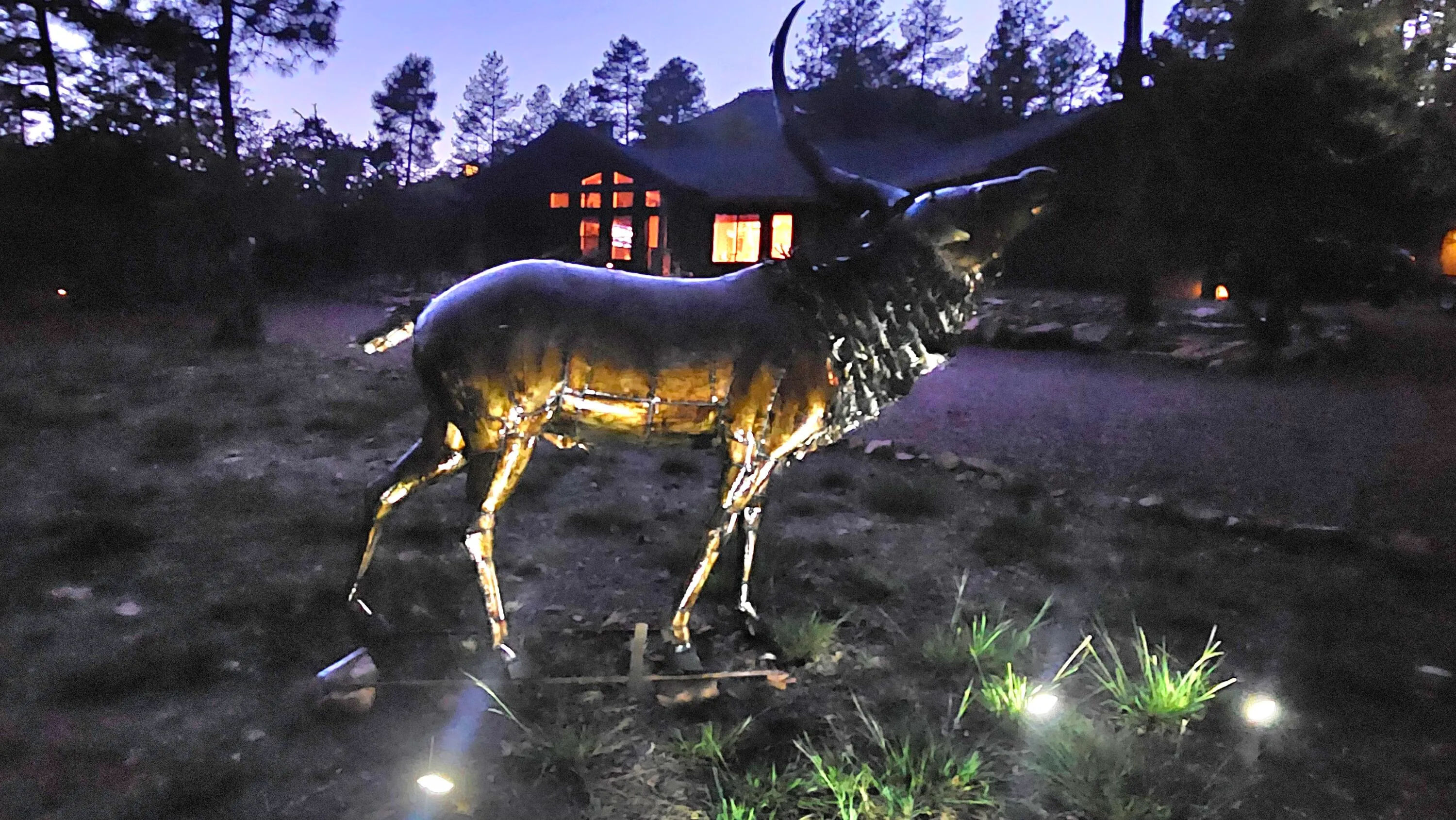 Pine, Arizona 85544, United States, 4 Bedrooms Bedrooms, ,2 BathroomsBathrooms,Residential,Active,131721