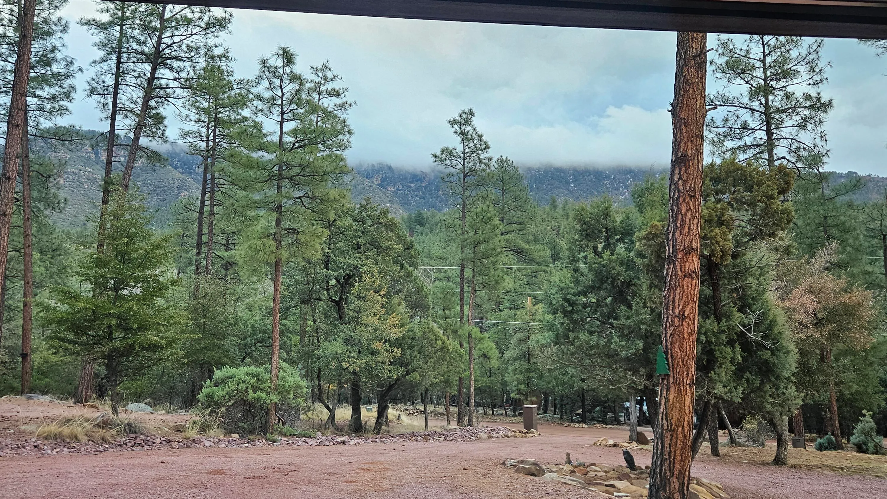 Pine, Arizona 85544, United States, 4 Bedrooms Bedrooms, ,2 BathroomsBathrooms,Residential,Active,131721