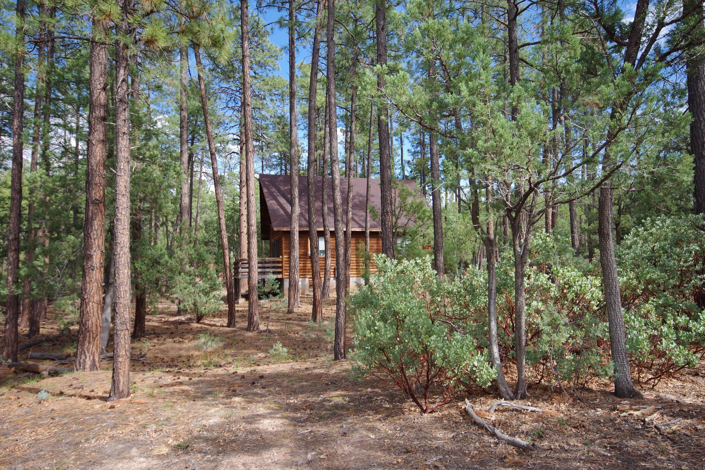 Payson, Arizona 85541, United States, 2 Bedrooms Bedrooms, ,1 BathroomBathrooms,Residential,Active,204562