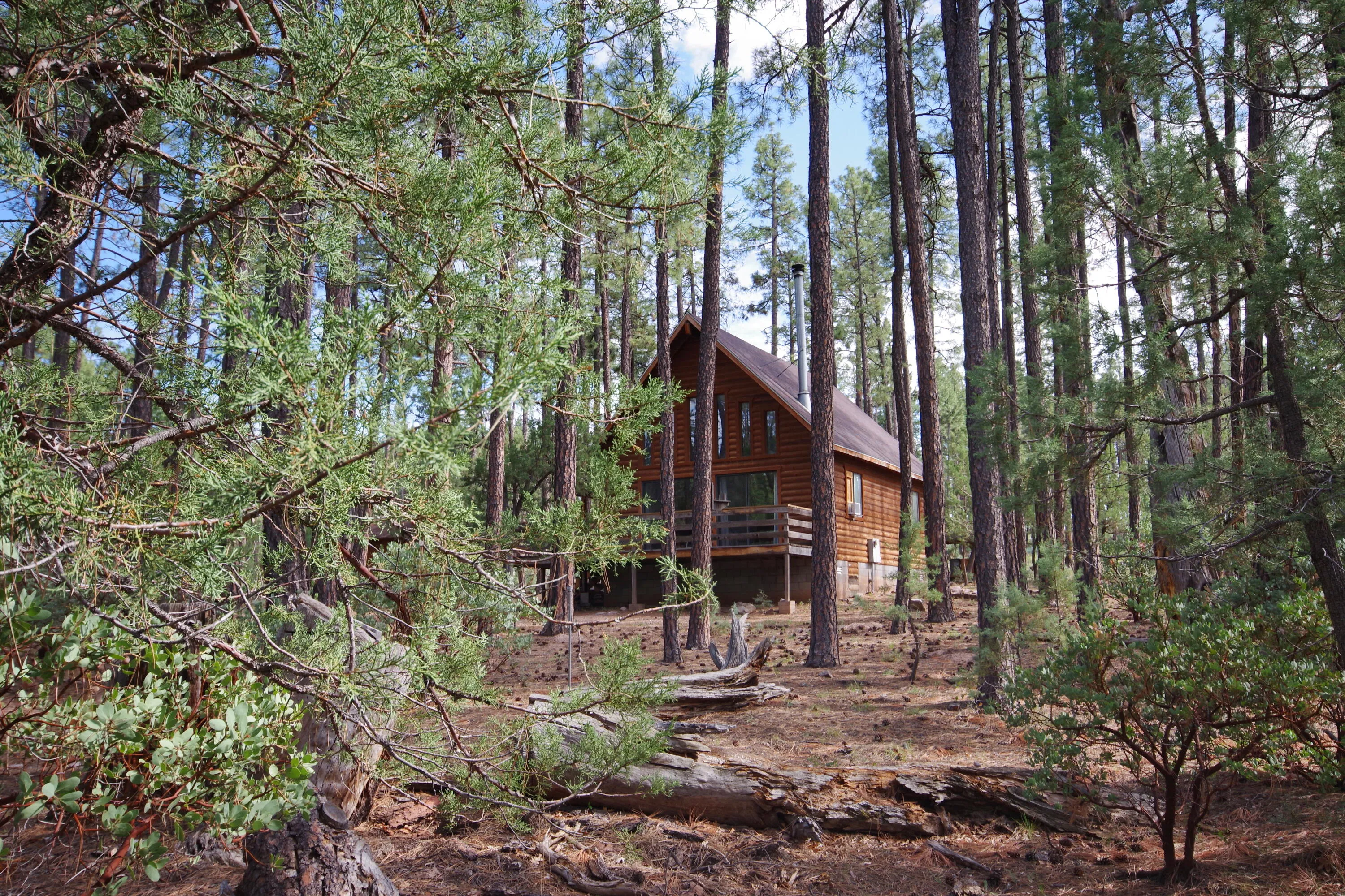 Payson, Arizona 85541, United States, 2 Bedrooms Bedrooms, ,1 BathroomBathrooms,Residential,Active,204562