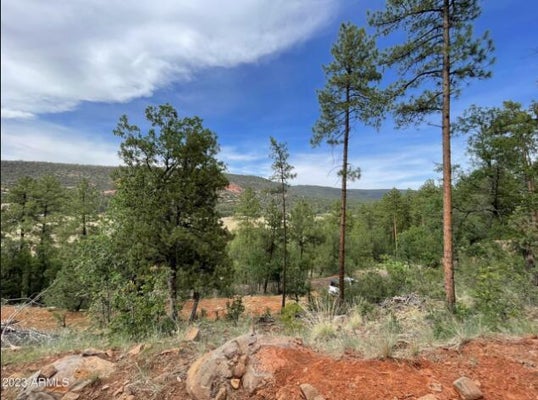 4770 N PINE SHADOWS LN, PINE, AZ 85544 - Image 6c734dcf84dabb4690e7edd2df17eeda/4051516843