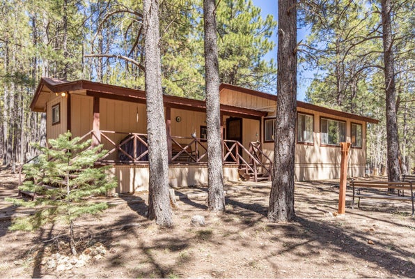 2224 DAISY TRL, FOREST LAKES, AZ 85931 - Image a07ba2b9267e7b2916f72fe73b3a46fd/79052929