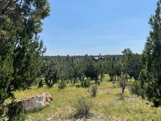 4367 SUNSET RIDGE DR, HAPPY JACK, AZ 86024 - Image b8a7a4e9f3765406ec73cb9331f7ac78/835467572