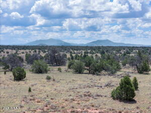 5785 N MUYTALA DR LOT D, WILLIAMS, AZ 86046 - Image cce8589ce86613e4d78d0146dccdbb13/3873205191