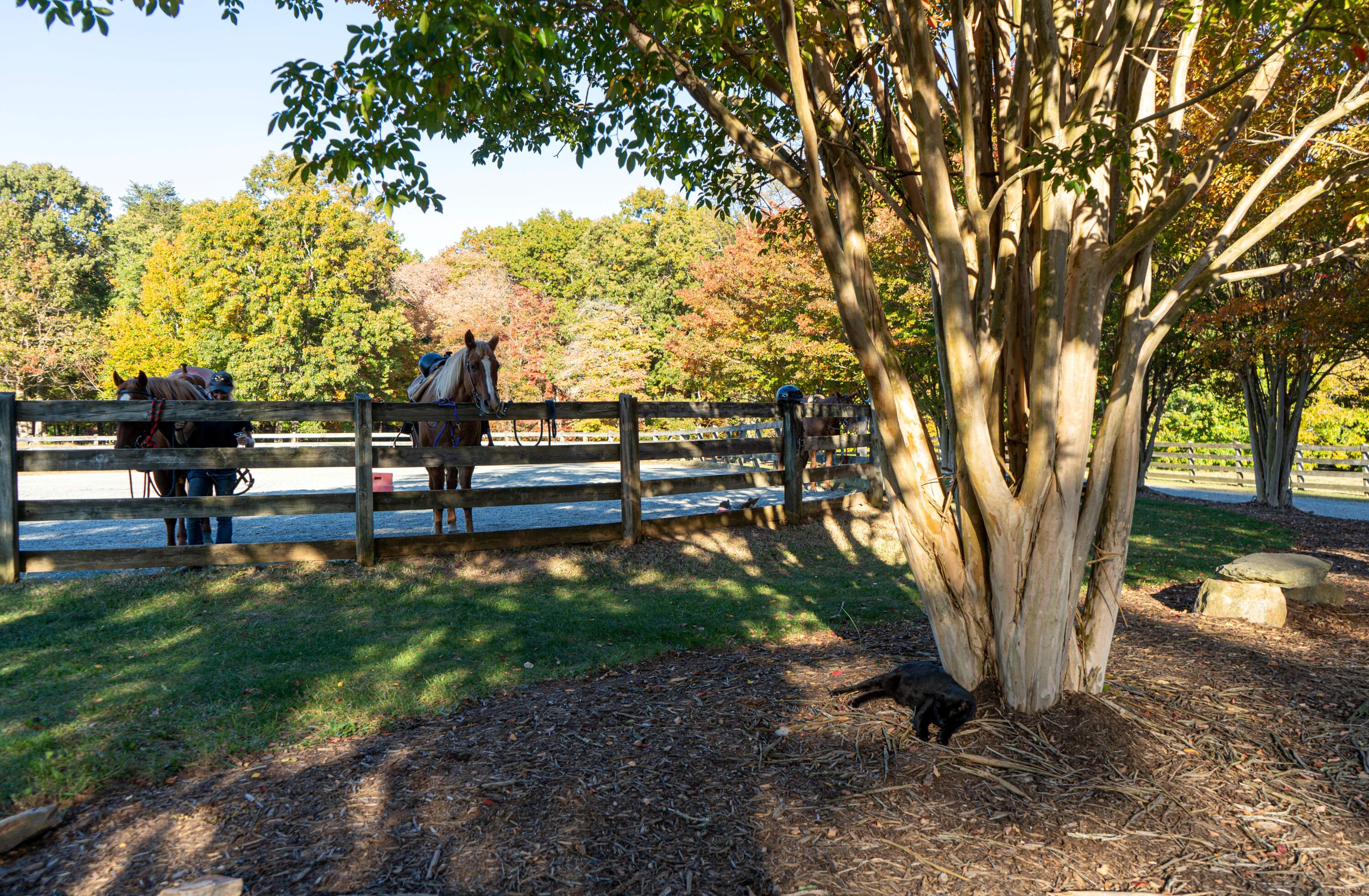 95 Shoreline Cir, Penhook, Virginia image 42