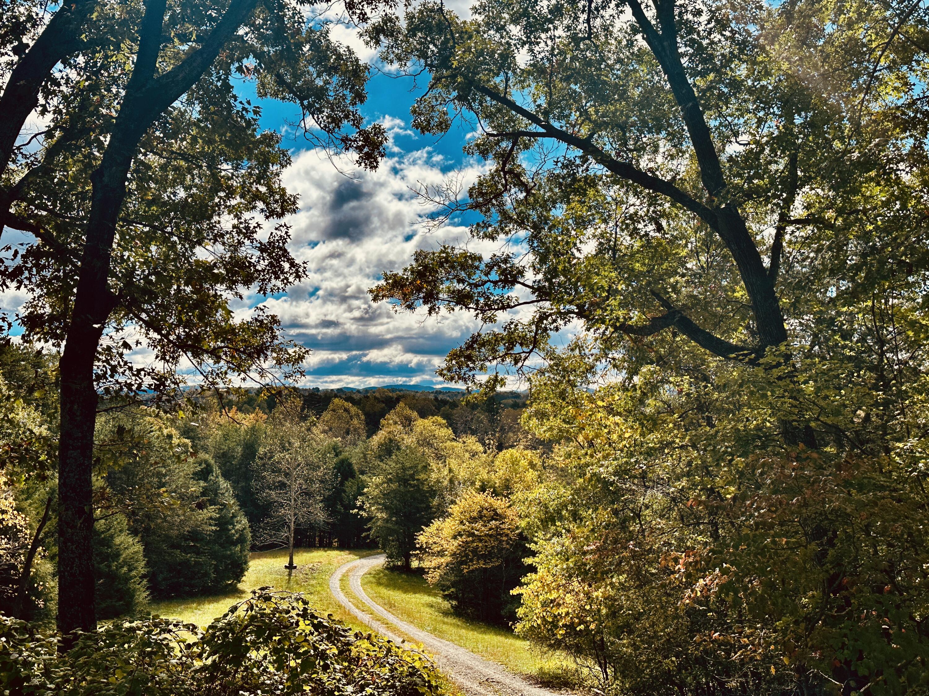 11 Ferns Ln, Fincastle, Virginia image 14