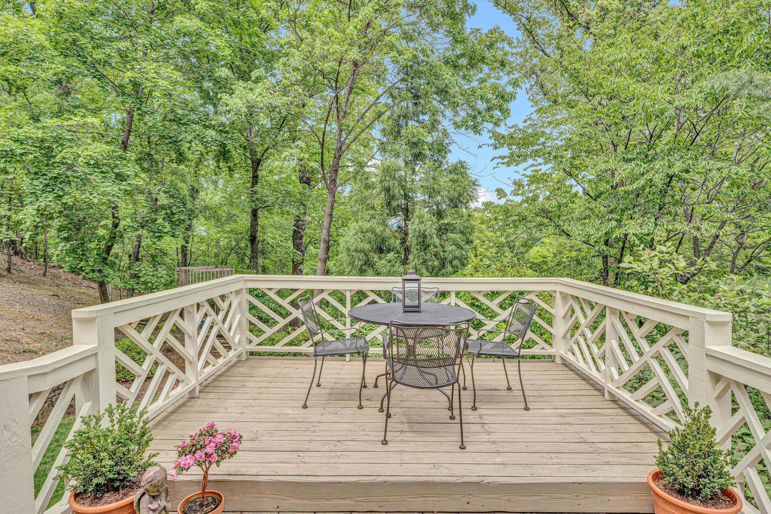 835 Wildwood Rd, Roanoke, Virginia image 21