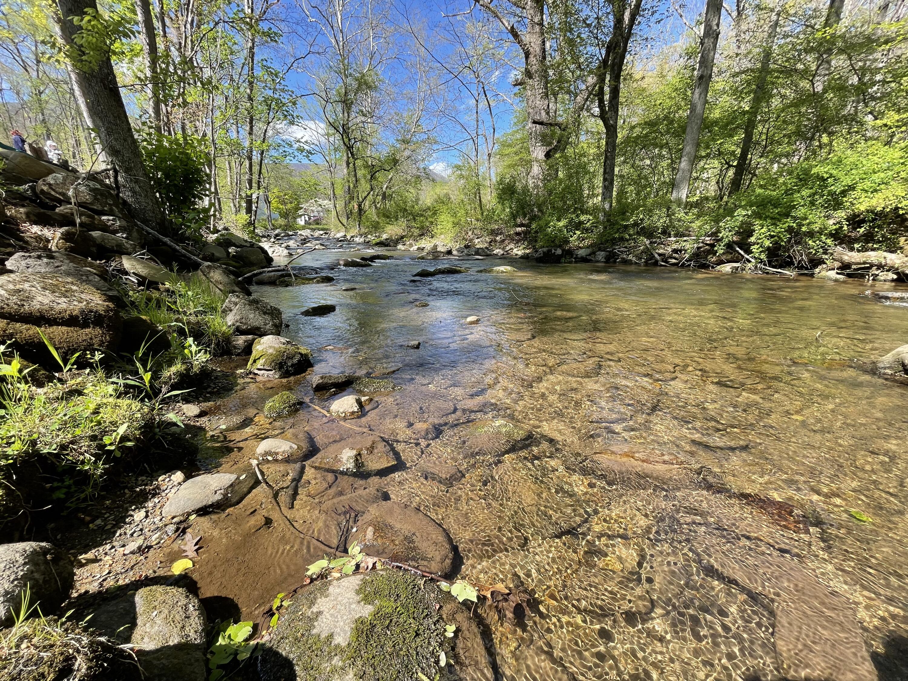 North Otter Creek Rd, Bedford, Virginia image 1