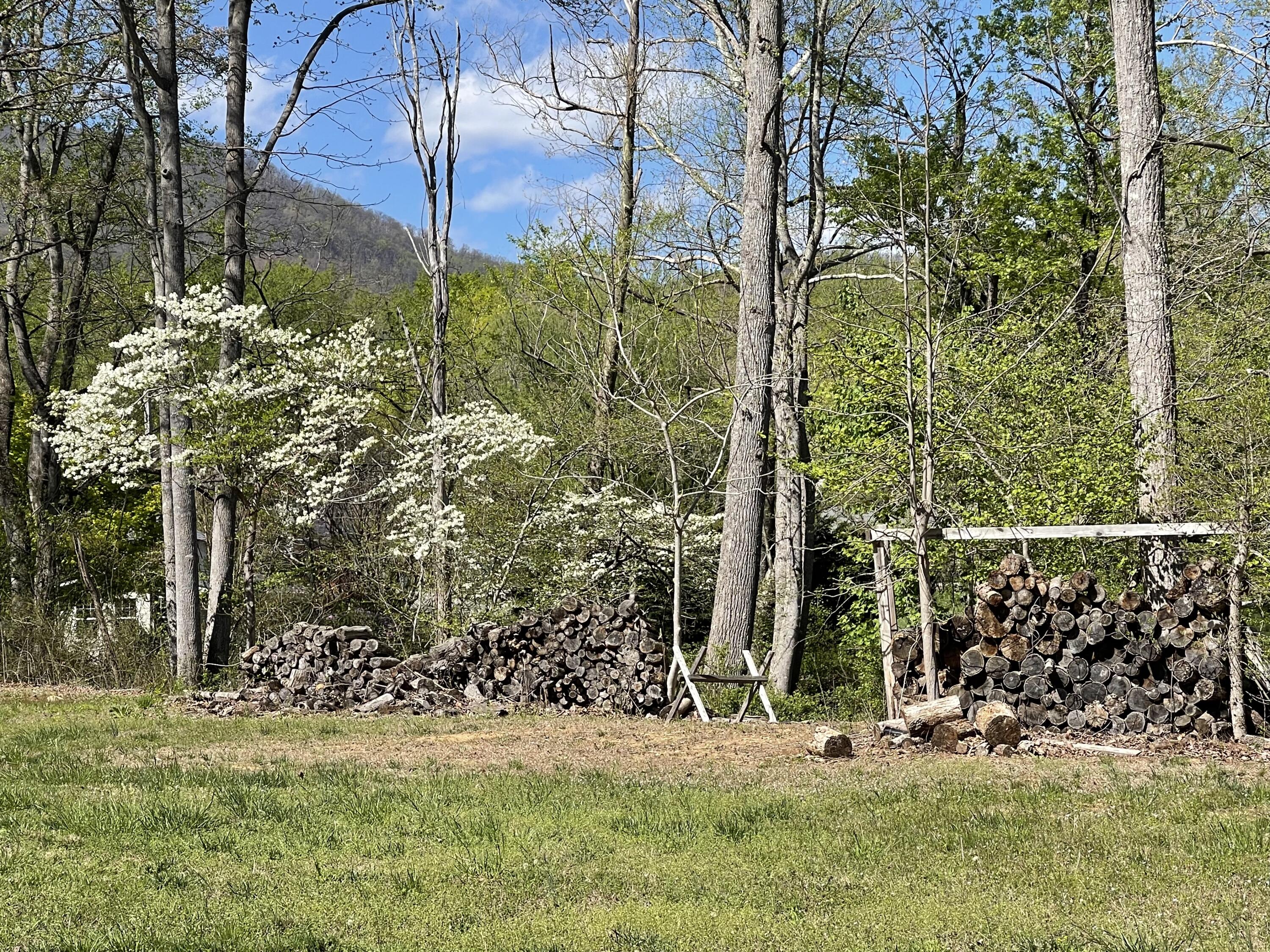 North Otter Creek Rd, Bedford, Virginia image 5