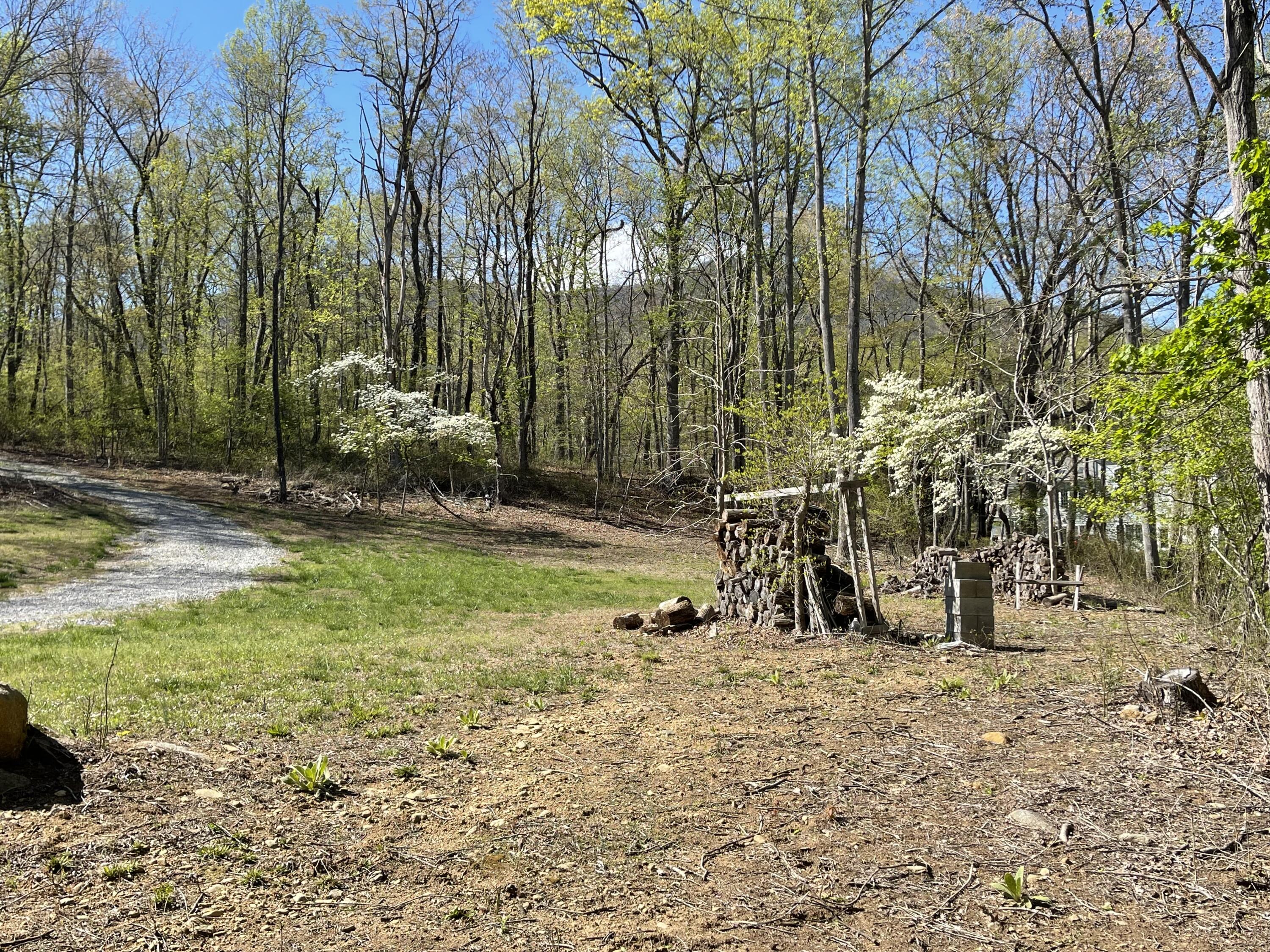 North Otter Creek Rd, Bedford, Virginia image 11